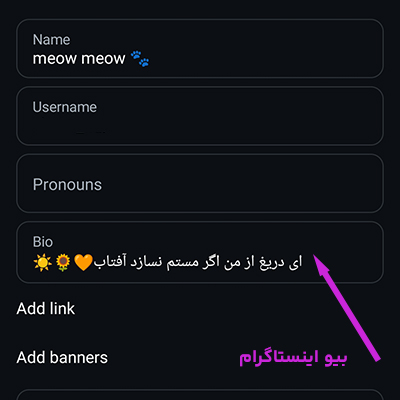 نمونه ای از بیو اینستاگرام